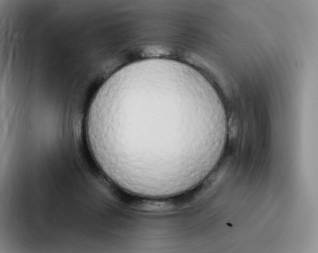 X0000086950315200705141827