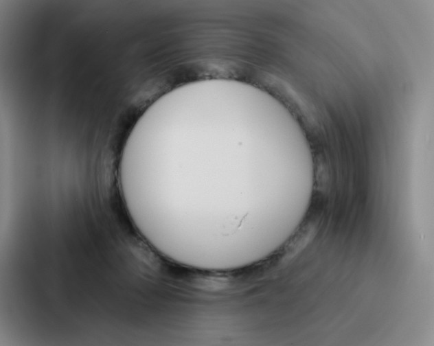 X0000086950318200705141827