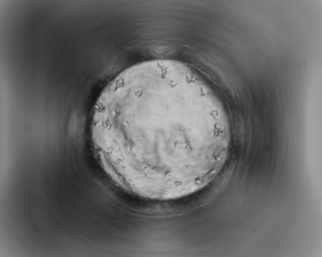 X0000086950319200705141827