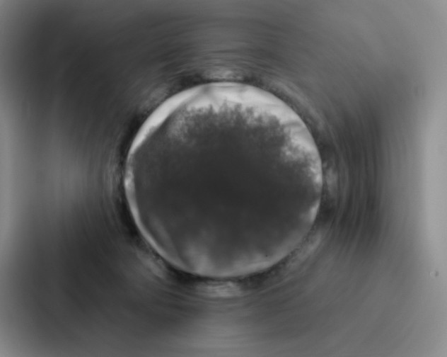 X0000086950322200705141827