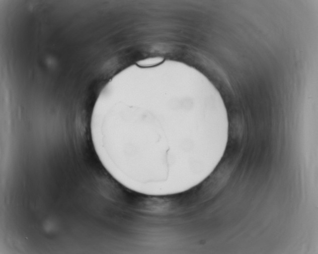 X0000086950328200705141827