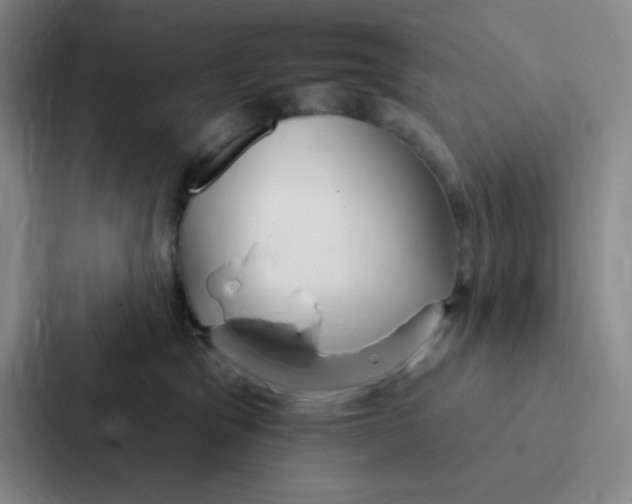 X0000086950329200705141827