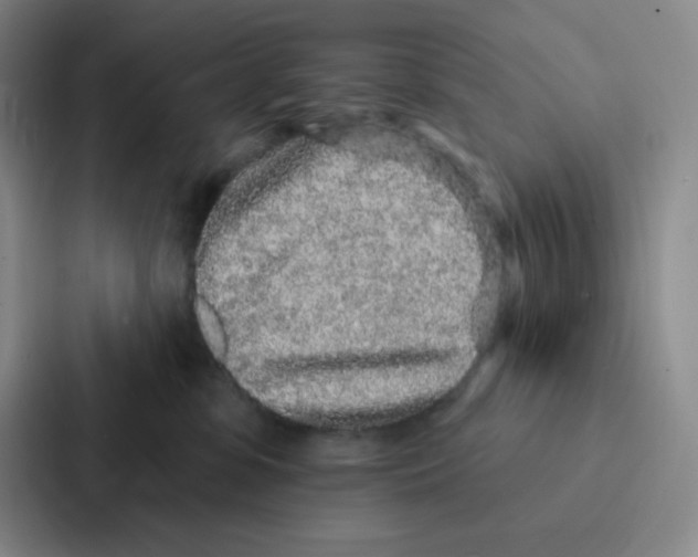 X0000086950331200705141827