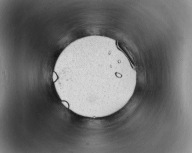 X0000086950332200705141827