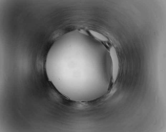 X0000086950333200705141827