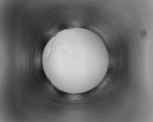 X0000086950334200705141827