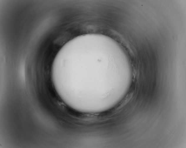 X0000086950335200705141827