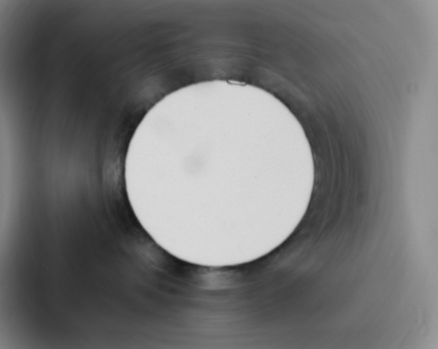 X0000086950336200705141827