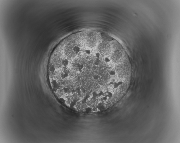 X0000086950337200705141826