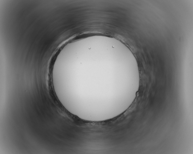 X0000086950338200705141826