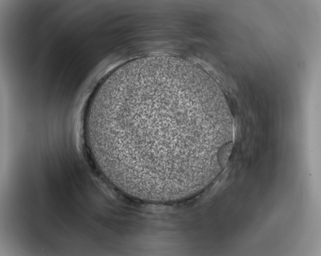 X0000086950339200705141826