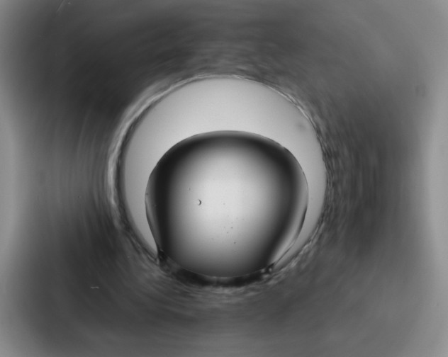 X0000086950340200705141826