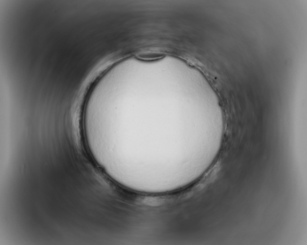 X0000086950341200705141826