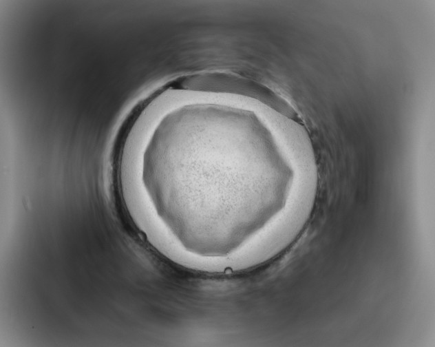 X0000086950342200705141826