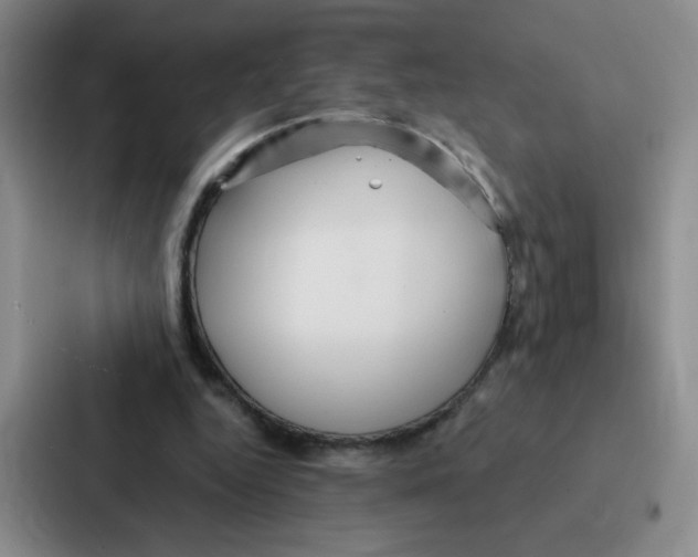 X0000086950344200705141826