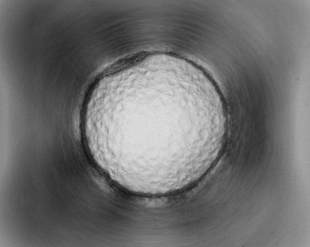 X0000086950345200705141826