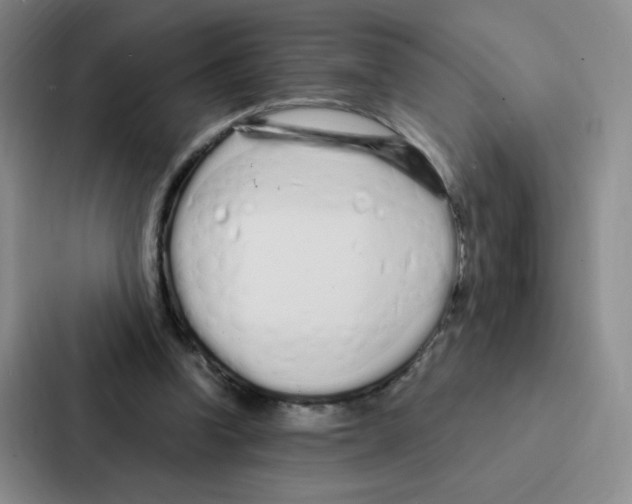 X0000086950346200705141826