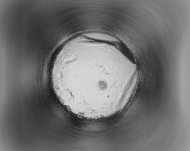 X0000086950347200705141826