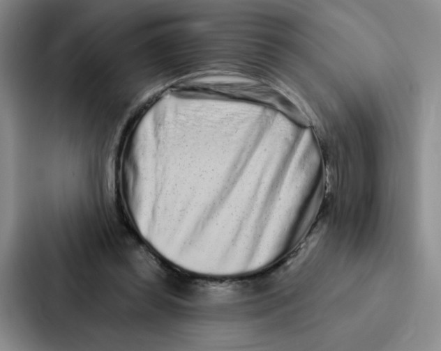 X0000086950349200705141826