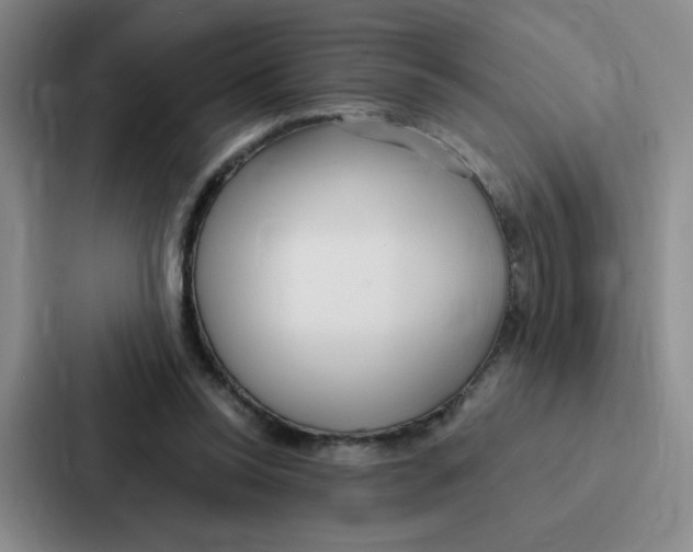 X0000086950350200705141826