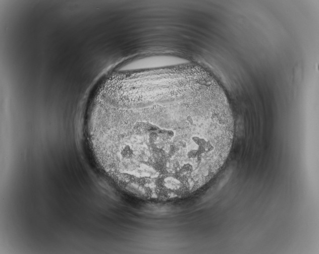 X0000086950351200705141826