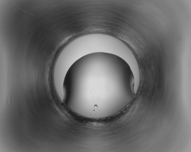 X0000086950352200705141826