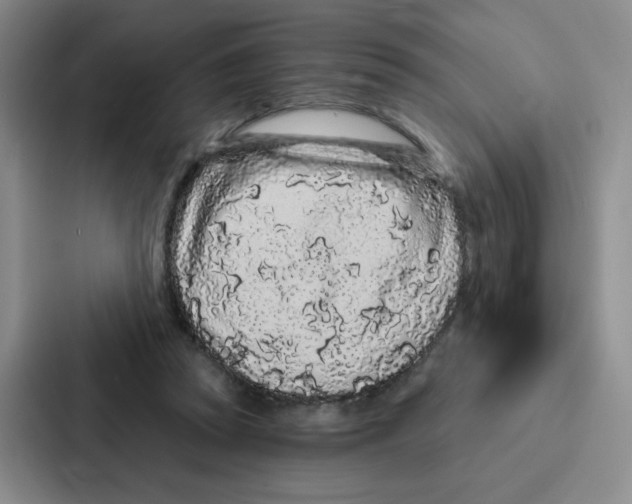 X0000086950353200705141826