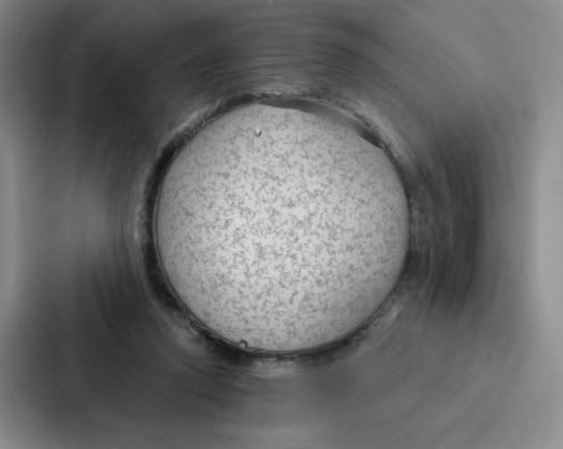 X0000086950354200705141826