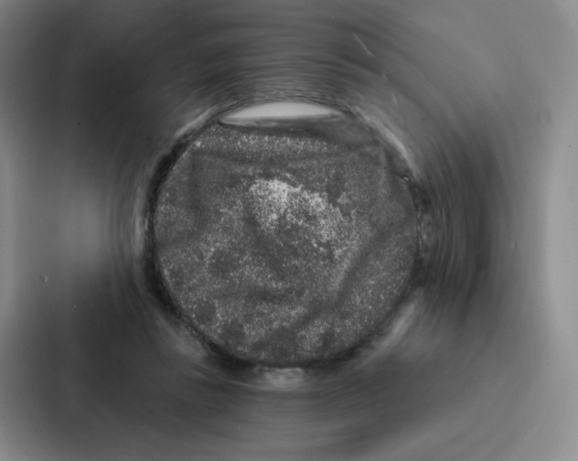 X0000086950355200705141827