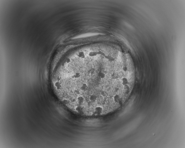 X0000086950357200705141827