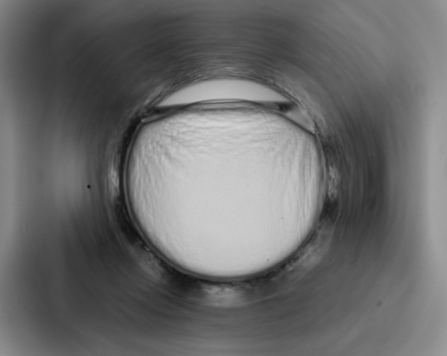 X0000086950358200705141827