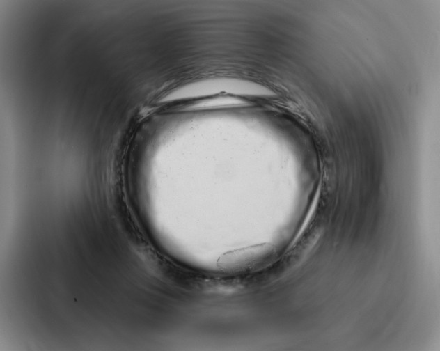 X0000086950359200705141827