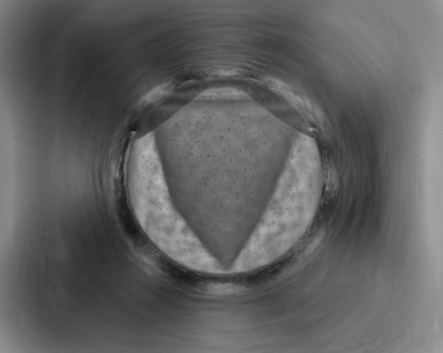 X0000086950360200705141827