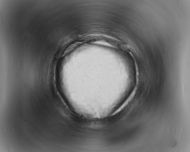 X0000086950361200705141827