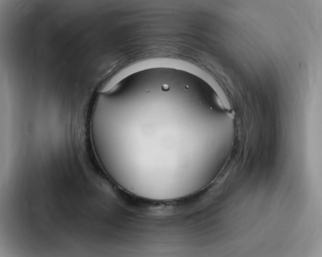 X0000086950362200705141827