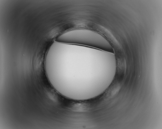 X0000086950364200705141827