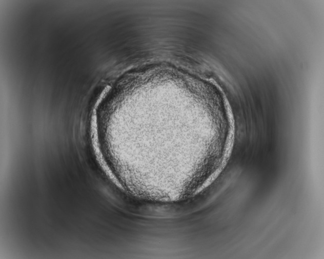 X0000086950365200705141827