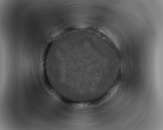 X0000086950366200705141827