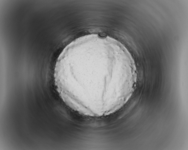 X0000086950367200705141827