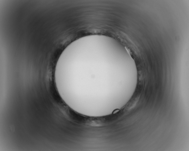 X0000086950368200705141827