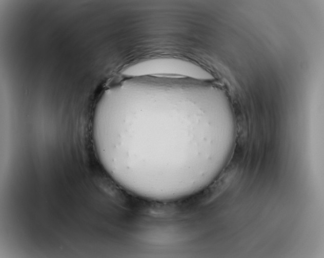 X0000086950369200705141827