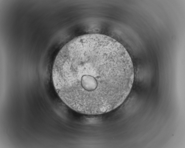 X0000086950370200705141827