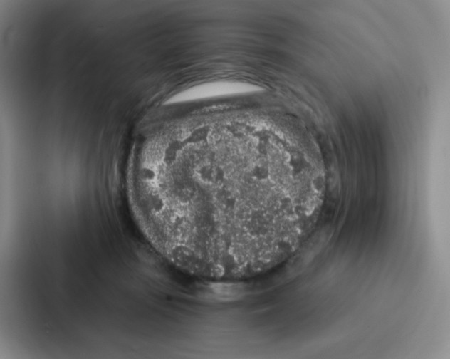 X0000086950371200705141827