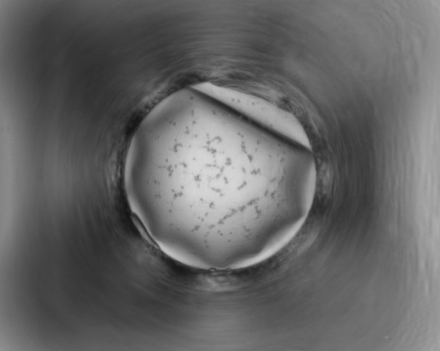 X0000086950372200705141827