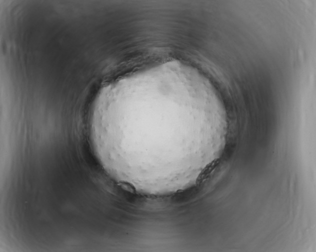 X0000086950373200705141827