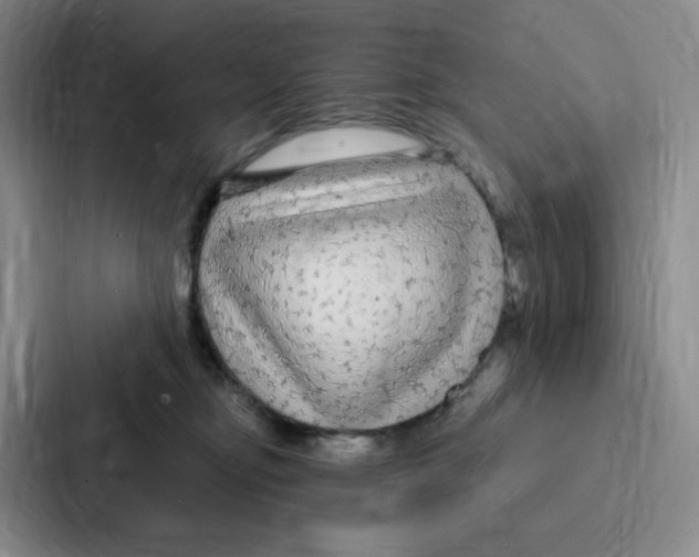 X0000086950374200705141827