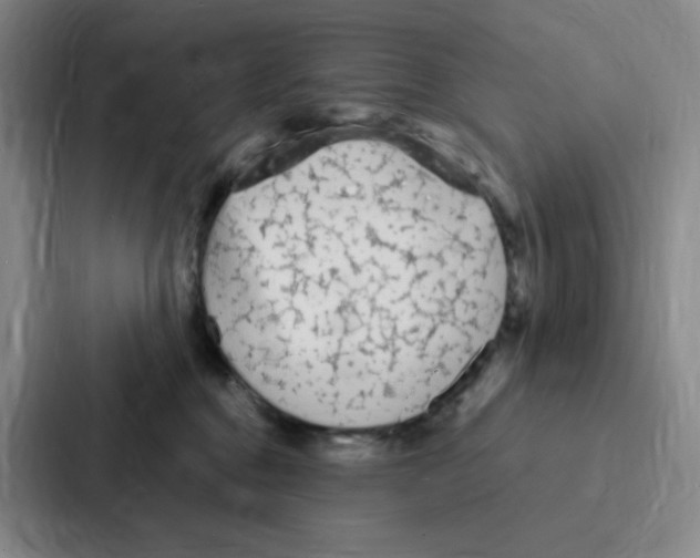 X0000086950376200705141827