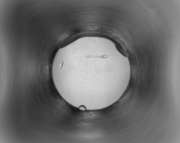 X0000086950378200705141827