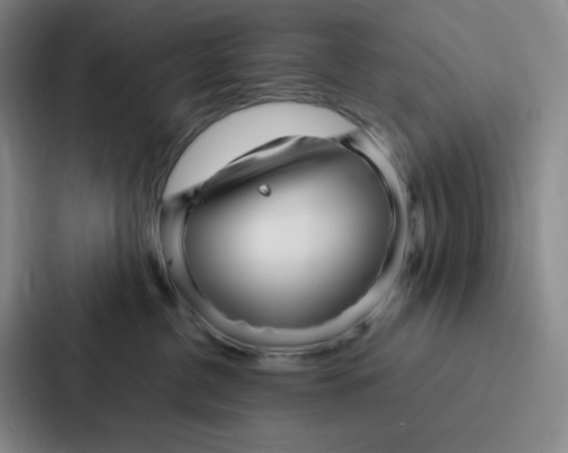 X0000086950380200705141827