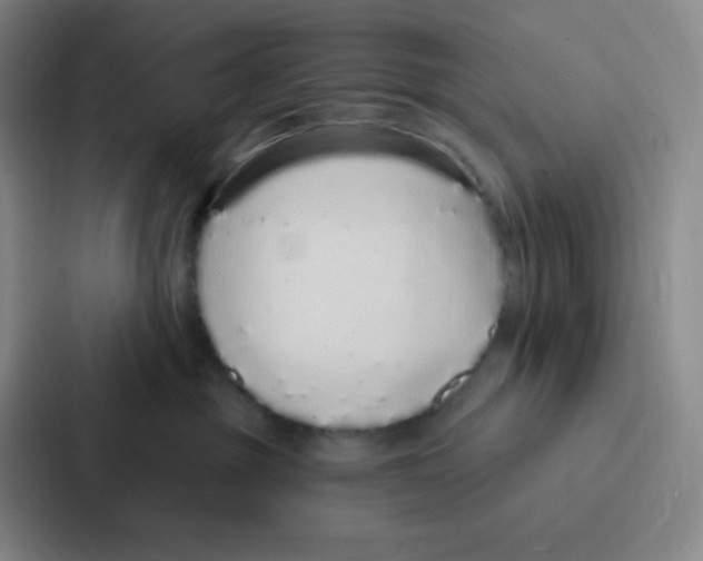 X0000086950381200705141827